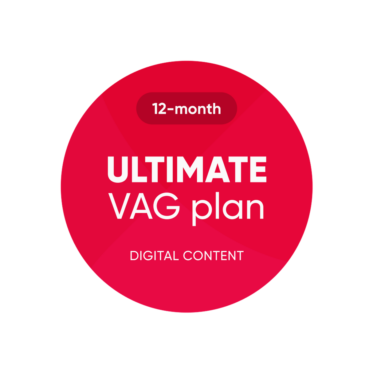 OBDeleven | Ultimate VAG Plan | Software License
