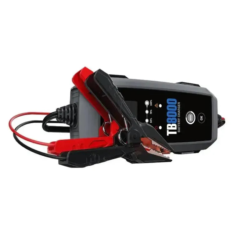 Topdon TB8000 Trickle Charger